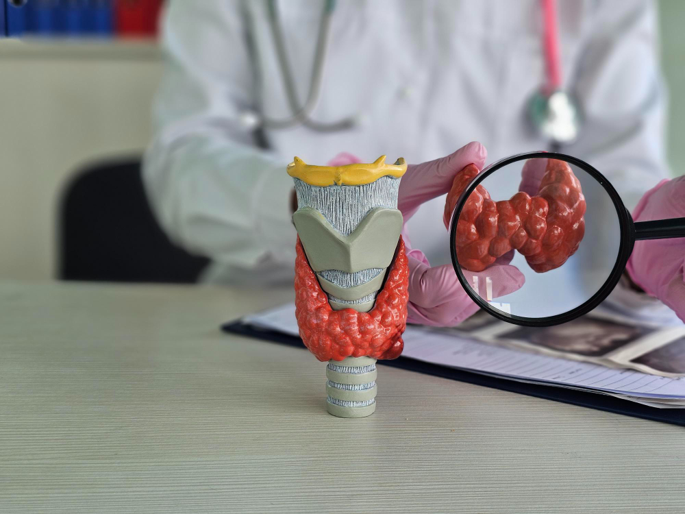 What Is Hypothyroidism? Understanding an Underactive Thyroid